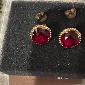 Elegant Gold and Red Stud Sorelli Earrings